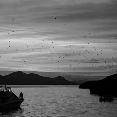 Indonesien - Nationalpark Komodo - *Returning Tripmates only* A Thrilling Tour to Indonesia's Most Beautiful Islands: Unforgettable Liveaboard Experience, Seaside Glamping and Relaxation in a Beachfront Villa (INDONESIA TRIP - PART I) - 5