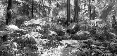 Portugal - Sete Cidades - Discover the Natural Wonders of São Miguel, Azores: Hiking and Hot Springs Adventure in Portugal - 3