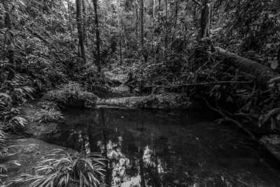 Colombia - Parque Nacional Natural Uramba Bahía Málaga - Entdecke Kolumbien! Valle de Cauca - Die zwei Kordilleren - 2