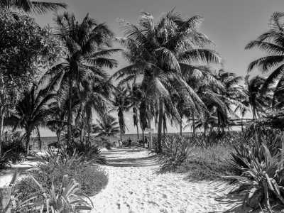 Mexiko - Tulum - Mexico ADVENTURE - Cancun to Tulum - Beach Clubs, Chichen Itza, Ziplining, Cenote tours, ATV riding, Mexican culture & more - 2