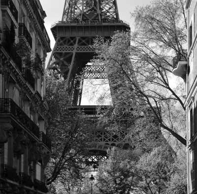 Western Europe - Paris - Sommer in Frankreich - Paris, Côte d'Azur, Nizza & Monaco! - 1