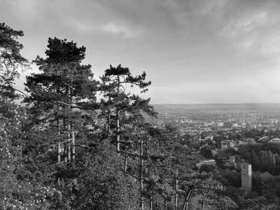 Hungary - Pécs - Hungarian Highlights - the Hidden Gems of Budapest, Pécs, Győr and Esztergom