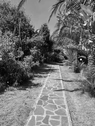 Italien - Ischia - CoWorking in NAPLES with a True NAPOLITAN 🇮🇹 🍕 - Discovering Napoli and Its Islands! - 3