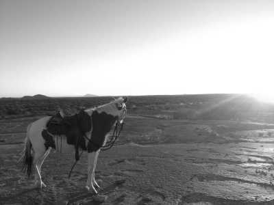 Namibia - Omaruru - Discovery Horseback Ride in Namibia: Ride from Inland to the Atlantic Coast - 1