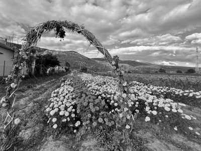 Mexiko - Oaxaca - SOUTH MEXICO WONDERS, DAY OF THE DEAD EDITION - 45