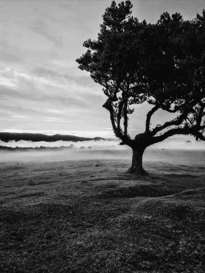 Portugal - Madeira Islands - 1 Woche CoLiving & CoWorking im Paradies Madeira: Workspace, Highspeed Internet, gem.Aktivitäten - 1