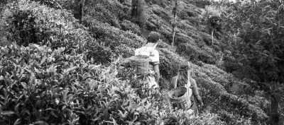 Sri Lanka - Kandy - Tropical Roundtrips: Discovering Sri Lanka's Wonders - 5