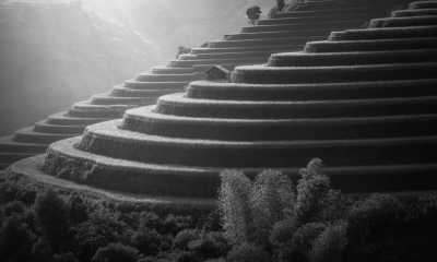 Indonesia - Canggu - Discover Serenity: Find a Calming CoWorking Community in Indonesia