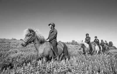 Rumänien - Mini Transilvania Park - Great Adventure in Mini Transylvania and Alpine Coaster, Lake view, Spa & Traditional Food in Romania - 3