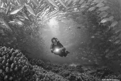 Thailand - Ko Tao - Two-week CoWorking Trip: Travel Like a Local in Koh Tao, Thailand, Exploring a Small Paradise and Diving Into Adventure! - 2