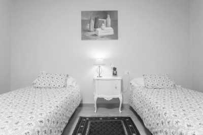 Spain - Puerto de la Cruz - Canary Islands in Summer ☀️🌴 Let's hike to beautiful viewpoints, explore subtropical nature, visit its Nationalparks and jump into natural volcanic pools 🌋 - 3