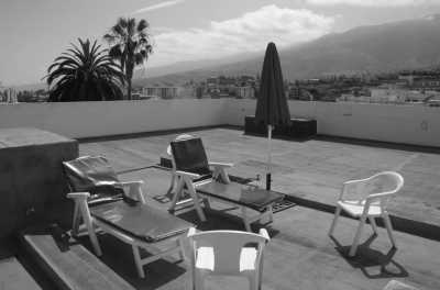 Spanien - Puerto de la Cruz - One week Island Life 🌴 Eco Whale Watching, volcanic terrain, pass by banana plantations 🍌, crystal clear water and beautiful nature walks! - 4