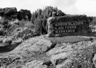 Tanzania - Mount Kilimanjaro - Explore and Delight in Tanzania: Your Ultimate Travel Destination within top three among the world - 2