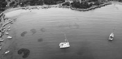 Kroatien - Premuda - Segeln & entdecken - Inselhopping in Kroatien - 3