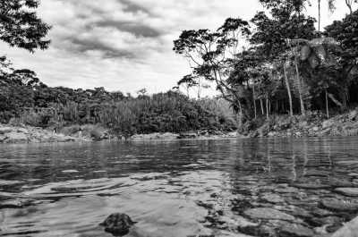 Ecuador - Tena - Ecuadorian Andes and Amazon Expedition: 13-Day Nature and Culture Journey