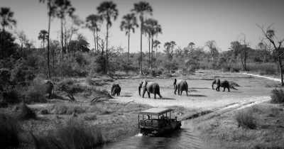 Sub-Saharan Africa - Chobe National Park - All-Inclusive - The Best of Africa 10 days Safari