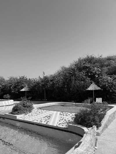 Senegal - Toubab Dialao - Senegal's Summer in Winter: Explore The Culture and Excitement in West Africa - 4