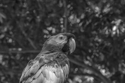 Guatemala - Antigua Guatemala - All Inclusive! The Ultimate Trip to Guatemala 🇬🇹 - Turquoise Jungle Springs, Hike on active Volcano, Coffee Tour and Villa at a Beautiful Lake, Surrounded by Volcanos