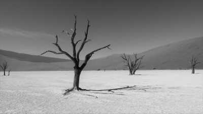 Namibia - Sossusvlei - Roadtrip Namibia - Auf der Suche nach den Big 5 Namibias - 2