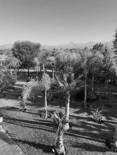 Marokko - Marrakesh - Reconnect with the Inner Essence: Flow & Flavors Retreat in Marrakech, Morocco! - 2