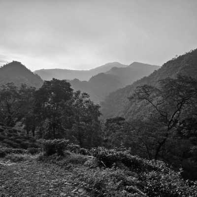 Südasien - Mirik - Exploring the Unexplored Himalayas - 4