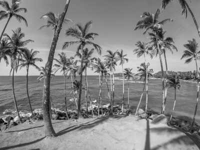 Sri Lanka - Muthurajawela Visitor Centre මුතුරාජවෙල පරිසර කේන්ද්‍රය - Escape to tropical paradise Sri Lanka in the New Year - 2025!