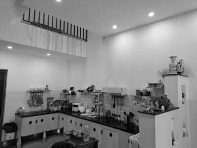 Vietnam - Da Nang - Half Day Cricket and Explore Da Nang City, Vietnam - 2