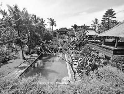 Indonesia - I Gusti Ngurah Rai International Airport - Bali with Ashley Sellers - 4