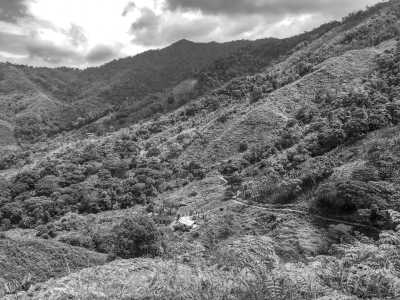 Colombia - Valledupar - Colombia Guided Trip: Nabusimake, Sierra Nevada de Santa Marta Trekking in a Coffe Finca of a Mamo Elois