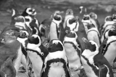 South Africa - De Hoop Nature Reserve - Cape Town and the Garden Route 🐘 7 Days 🌞 Explore South Africa with a Local 🌊 - 1