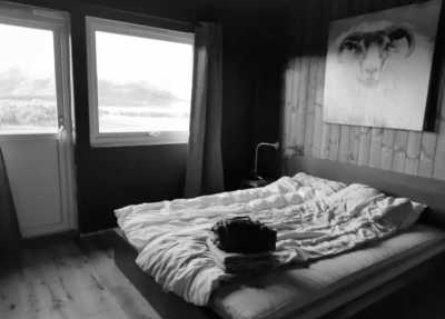 Norwegen - Borg - New Year's Eve in Norway - Northern Lights, snow and dog sledding! - 9