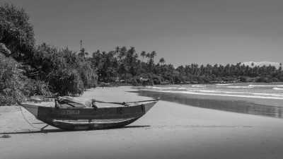 Sri Lanka - Dikwella - 17-Days CoWorking Adventure in SRI LANKA: Beach I Safari I Surf I Pool & BBQ - 2