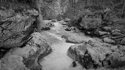 Germany - Zauberwald - A Magical Experience | Hiking & camping in German Alps | Walkshop Light | Berchtesgadener Land | Königsee | 5 days - 13
