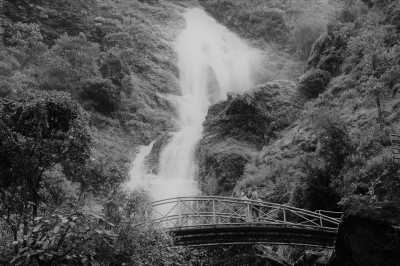 Vietnam - Sa Pa - Vietnam Co-Working Trip  💻 The longer you stay, the more you save! - 4