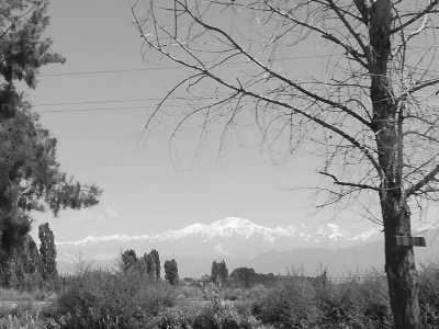 Argentina - Potrerillos - Discover Mendoza, Argentina with a local: Mountains, Wine & Food Culture and more! - 3