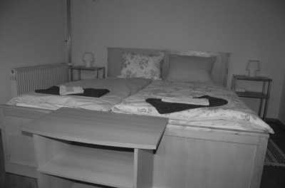 Südeuropa - Solkan - Adrenalin Budget Trip 🪂- Bungee Jumping in Solkan, Slovenia - 5