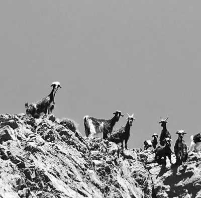 Morocco - Tizi Trekking - Treasure Hunt: Hiking, Nature and Healthy Diet in Toubkal Region, Morocco, Charming Hotel All Included - 3