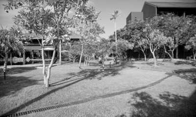 Sri Lanka - Bentota - Escape to Sri Lanka - Ayurveda Spa Retreat, Yoga & Meditation - 8