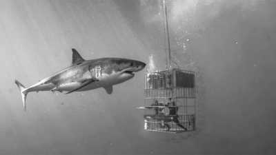 Südafrika - Gansbaai - Garden route South Africa: From Cape Town to Port Elisabeth - 2