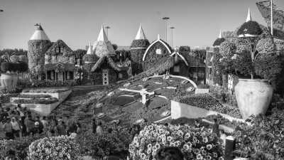 United Arab Emirates - Dubai - Ultimate UAE Adventure: A Week of Exploration and Excitement - 2