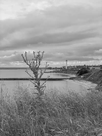 Bulgarien - Aheloy - Experience the Ultimate Relaxation with Yoga, Natural Mud Therapy, Sun , Sea  and Sand in Beautiful Bulgaria - Ladies Only (Sofa bed) - 3
