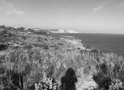 Portugal - Praia da Luz - Portugal Co Working Trip (2 Plätze für jeweils eine Woche frei)☀💻 - 5