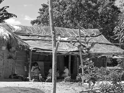 Colombia - Pueblo Bello - Colombia Guided Trip: Nabusimake,  Sierra Nevada de Santa Marta Trekking in a Coffe Finca of a Mamo Elois - 3