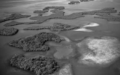 India - Port Blair - Explore Andaman Archipelago 🌊 A summer beach vacation 🏖️ scuba diving in the pristine marine ecosystem 🤿 explore islands unique wildlife wonders & activities 🐾 sunrise & sunsets