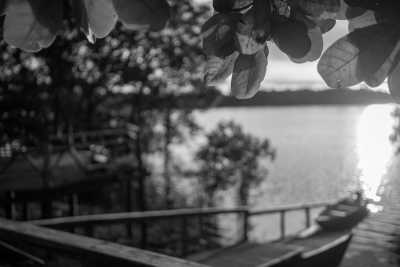 Brazil - Rio Juma - Amazon Expedition: 7-days immersion with a riverside family in the Amazon. - 8