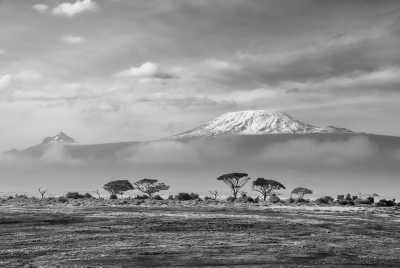 Tanzania - Mount Kilimanjaro National Park - 4 Day Tanzania Safari to Tarangire, Ngorongoro Crater and a Day Trip Hike to Mount Kilimanjaro