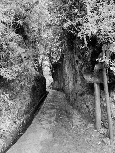 Portugal - Levadas Madeira | Walking in levadas Madeira Guide - Booking levadas - Madeira Paradise Co-working! ☀️ Yoga, sea Views, Nature and Exploration - 2