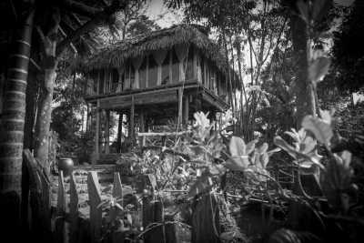 Vietnam - Northern Vietnam: Adventure & Meditation in Nature - JoinMyTrip