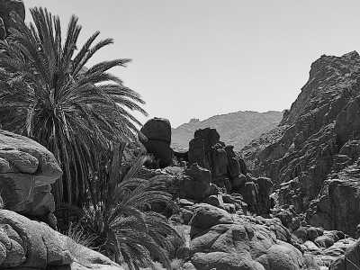 Egypt - South Sinai Governorate - Egypt Nature Retreat: Mountainous Getaway for Swimming and Relaxation - 2