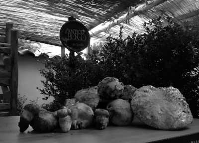 Italy - Gragnano - The authentic food & wine of Sorrento Peninsula and Lattari Mountains , Italy! 🍝 🍷 - 6